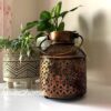 Lantern, Candle Holder, T-light Holder, Traditional Lantern, Modern Lantern, Antique Gold, House2home, h2h , Hanging Lantern, Moroccan, hanging Lantern, Dhuni, Balti Lantern, Carved Lantern, Milk Cane