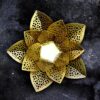 Lotus Shadow Candle Holder, Tlight Holder Set, Flower Candle Holder Set, House2home, h2h, Modern Candle Holder, Modern Lantern, Shadow diya, Table Decor, Abstract, Tree Shadow Diya, Diwali Décor, Gift, Return Gift