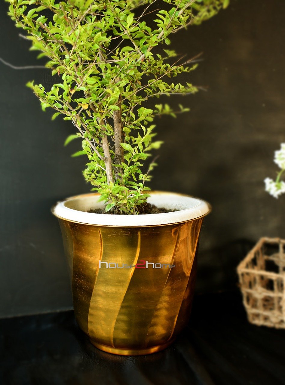 Brass Planter 10, 12, 14inch Ribbed - Image 3