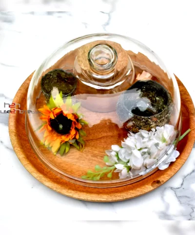 Artistic Diwali gift ideas, Best Handicraft manufacture, Best Handicraft manufacturer, Best Metal Collection, Best metal handicrafts Moradabad, Best Quality Gifts, Cake Stand, Cake Stand Manufacturer, Cake Stand With Dome, center table decor, Chocolate Packaging Trays, Chocolate Tray, cup cake stand, Custom metal gifts Moradabad, Custom wooden cake stand, Customized Diwali crafts, cute hamper, decor, decorative, Decorative Cake Dome Tray, decorative hamper, Decorative metal items Moradabad, decorative packing, Dining table Organizer, Diwali Decorations, Diwali DIY gifts, Diwali Gift, diwali hamper, Diwali Return Gift, dry fruit pack, Dry Fruit Packing, Dry Fruit Stand, dry fruit tray, Dry Fruit Tray with Dome, Dry Fruit with Glass Cover, Elegant Glass Lid, elegant platter, Elegant Wooden Tray with Glass, Favors, Fruit Platter, Fruit Stand, Gift Basket, Gift Distribution, Gift Distribution Wooden Trays, gift pack, gifting, Gifts Manufacturer, Glass Cover with Tray, Glass Dome, Glass Dome with Wooden Stand, Glass lid and Tray, h2h, H2H (House 2 Home), Hamper Basket, Hamper Pack, Hamper Packing, Handcrafted Diwali decorations, handicraft, Handicrafts Manufacturer, Handmade Diwali gifts, Handmade festive decor, handmade gift, Handmade wooden cake stand, Holiday Gift Hamper, Holiday Hamper, home decor, House 2 home, house warming, House2home, Househome, Housewarming Gift, Kitty Party Gift, mehandi gift, Metal artware Moradabad, Metal gift manufacturers in Moradabad, Metal Gifts Manufacturer, Metal Glass Tray, Metal Handicraft, Metal Handicrafts, Metal Manufacturer, Metal Stand with Wooden Plate, Metalware manufacturers in India, Modern Candle Holder, Modern Glass Tray, modern hamper, Moradabad, Moradabad brassware gifts, Moradabad handicrafts exporters, Moradabad Metal, Moradabad Metal Crafts, Moradabad metal gift shops, Moradabad metal gifts, Moradabad Metal Home Decor, Moradabad Metal Industry, Moradabad metal souvenirs, Moradabad metalware exports, Moradabad metalware industry, Moradabad Metalware Suppliers, Moradabad metalwork artisans, Multi-tier fruit server, Natural wood cake stand, Packing, Personalized Diwali gifts, Platter, Return Favor Gift, Return Gift, Round Glass Cover, Round Tray Cover, Round Tray with Glass Lid, Seasonal Gift, Serving Platter, Snack Serving Stand, Solid wood cake stand, table Decor, Tiered fruit organizer, Tiered fruit storage, Traditional handmade Diwali goods. Moradabad, Traditional metal crafts Moradabad, Tray Manufacturer, tray with Glass Lid, trousseau packing, truso packing, Unique handmade Diwali items, Vintage wooden cake stand, Wedding Favor, Wedding Gift, Wedding Hamper, Wedding Pack, Wood cake pedestal, Wooden cake display, Wooden cake holder, Wooden cake platter, Wooden cake server, wooden cake stand, Wooden Cake Stand Manufacturer, Wooden cupcake stand, Wooden dessert stand, Wooden Gifts Manufacturer, Wooden Hamper, Wooden Handicraft, Wooden Handicrafts Manufacturer, Wooden Plates Manufacturer, Wooden Round Plate, Wooden tiered cake stand, Cake Dome for Shop Display,