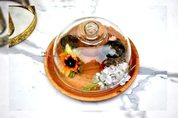 Artistic Diwali gift ideas, Best Handicraft manufacture, Best Handicraft manufacturer, Best Metal Collection, Best metal handicrafts Moradabad, Best Quality Gifts, Cake Stand, Cake Stand Manufacturer, Cake Stand With Dome, center table decor, Chocolate Packaging Trays, Chocolate Tray, cup cake stand, Custom metal gifts Moradabad, Custom wooden cake stand, Customized Diwali crafts, cute hamper, decor, decorative, Decorative Cake Dome Tray, decorative hamper, Decorative metal items Moradabad, decorative packing, Dining table Organizer, Diwali Decorations, Diwali DIY gifts, Diwali Gift, diwali hamper, Diwali Return Gift, dry fruit pack, Dry Fruit Packing, Dry Fruit Stand, dry fruit tray, Dry Fruit Tray with Dome, Dry Fruit with Glass Cover, Elegant Glass Lid, elegant platter, Elegant Wooden Tray with Glass, Favors, Fruit Platter, Fruit Stand, Gift Basket, Gift Distribution, Gift Distribution Wooden Trays, gift pack, gifting, Gifts Manufacturer, Glass Cover with Tray, Glass Dome, Glass Dome with Wooden Stand, Glass lid and Tray, h2h, H2H (House 2 Home), Hamper Basket, Hamper Pack, Hamper Packing, Handcrafted Diwali decorations, handicraft, Handicrafts Manufacturer, Handmade Diwali gifts, Handmade festive decor, handmade gift, Handmade wooden cake stand, Holiday Gift Hamper, Holiday Hamper, home decor, House 2 home, house warming, House2home, Househome, Housewarming Gift, Kitty Party Gift, mehandi gift, Metal artware Moradabad, Metal gift manufacturers in Moradabad, Metal Gifts Manufacturer, Metal Glass Tray, Metal Handicraft, Metal Handicrafts, Metal Manufacturer, Metal Stand with Wooden Plate, Metalware manufacturers in India, Modern Candle Holder, Modern Glass Tray, modern hamper, Moradabad, Moradabad brassware gifts, Moradabad handicrafts exporters, Moradabad Metal, Moradabad Metal Crafts, Moradabad metal gift shops, Moradabad metal gifts, Moradabad Metal Home Decor, Moradabad Metal Industry, Moradabad metal souvenirs, Moradabad metalware exports, Moradabad metalware industry, Moradabad Metalware Suppliers, Moradabad metalwork artisans, Multi-tier fruit server, Natural wood cake stand, Packing, Personalized Diwali gifts, Platter, Return Favor Gift, Return Gift, Round Glass Cover, Round Tray Cover, Round Tray with Glass Lid, Seasonal Gift, Serving Platter, Snack Serving Stand, Solid wood cake stand, table Decor, Tiered fruit organizer, Tiered fruit storage, Traditional handmade Diwali goods. Moradabad, Traditional metal crafts Moradabad, Tray Manufacturer, tray with Glass Lid, trousseau packing, truso packing, Unique handmade Diwali items, Vintage wooden cake stand, Wedding Favor, Wedding Gift, Wedding Hamper, Wedding Pack, Wood cake pedestal, Wooden cake display, Wooden cake holder, Wooden cake platter, Wooden cake server, wooden cake stand, Wooden Cake Stand Manufacturer, Wooden cupcake stand, Wooden dessert stand, Wooden Gifts Manufacturer, Wooden Hamper, Wooden Handicraft, Wooden Handicrafts Manufacturer, Wooden Plates Manufacturer, Wooden Round Plate, Wooden tiered cake stand, Cake Dome for Shop Display,