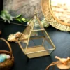 Brass Terrarium, Geometric Brass Terrarium, Conical Brass Terrarium, Hexagonal Brass Terrarium, Quadrilateral Terrarium, Polygonal Terrarium, Glass Terrarium, Brass Glass Terrarium, Decorative Brass Terrarium, Angular Brass Terrarium, Brass Frame Terrarium, Modern Terrarium Design, Designer Brass Terrarium, Luxury Brass Terrarium, Metal Terrarium, Indoor Brass Terrarium, Tabletop Terrarium, Hanging Brass Terrarium, Succulent Terrarium, Air Plant Terrarium, Cactus Planter Terrarium, Decorative Plant Holder, Brass Planter, Geometric Plant Holder, Stylish Glass Planter, Brass Candle Holder, Geometric Brass Candle Holder, Brass Tea Light Holder, Decorative Lantern, Glass Lantern, Brass Lantern, Candle Terrarium, Terrarium Candle Holder, Wedding Centerpiece Terrarium, Diwali Decor Terrarium, Event Decor Terrarium, Hotel Decor Terrarium, Home Decor Terrarium, Boho Terrarium, Rustic Brass Terrarium, Artistic Glass Terrarium, Premium Terrarium Gift, Housewarming Gift Terrarium, Festive Gifting Terrarium, Metal and Glass Terrarium, Minimalist Terrarium, Vintage Terrarium Design, Glass and Metal Planter, Geometric Candle Lantern, Indoor Garden Terrarium, Tabletop Candle Lantern, Centerpiece Glass Lantern, Decorative Polygon Terrarium, Conical Glass Terrarium, Hexagon Candle Lantern, Indoor Decor Planter, Botanical Display Terrarium, Gold Finish Terrarium, Handmade Brass Terrarium, Elegant Glass Terrarium, Giftable Terrarium Holder, Versatile Brass Decor, Luxury Wedding Gift, Trousseau Decor Piece, Floral Display Terrarium, Designer Candle Lantern, Diwali Gift Terrarium, German Silver Look Terrarium, Chic Home Accent Piece, Modern Boho Planter, Designer Table Accent, Glass Display for Succulents, Decor Accent Terrarium, Artistic Home Decor, Terrarium for Office Desk, Small Indoor Greenhouse, Ambient Lighting Decor