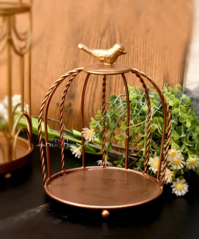 Cage Hamper Stand, Jar Cage Stand, Metal Cage Stand, Golden Cage Stand, Decorative Cage Hamper, Single Jar Cage Stand, Metal Hamper Cage, Compact Cage Stand, Cage Gift Stand, Golden Gift Stand, Unique Hamper Stand, Gift Jar Cage, Jar Holder Cage, Stylish Cage Stand, Cage Shaped Gift Stand, Gift Display Cage, Premium Cage Stand, Hamper Display Stand, Hamper Base Cage, Golden Hamper Cage, Single Jar Holder Stand, Compact Gift Stand, Metal Gift Cage, Cage Packaging Stand, Wedding Hamper Cage, Diwali Gift Cage, Baby Announcement Cage Stand, Jar Hamper Base, Artistic Cage Stand, Decorative Cage Gift Holder, Home Decor Cage Stand, Cage Stand for Gifting, Golden Cage Gift Display, Hamper Cage Base, Party Favor Cage Stand, Luxury Cage Display, Modern Cage Hamper Stand, Elegant Cage Display Stand, Rustic Cage Hamper Stand, Tabletop Cage Stand, Minimal Jar Cage Stand, Golden Wire Stand, Handmade Cage Stand, Moradabad Cage Stand, Jar Holder Hamper, Small Hamper Cage, Festival Gift Cage, Wedding Return Gift Stand, Festive Jar Display, Stylish Gift Cage, Elegant Gift Base, Functional Hamper Stand, Modern Jar Display, Metal Cage Display, Portable Hamper Cage, Golden Display Cage, Gift Cage with Jar, Jar Combo Cage Stand, Decorative Cage Display, Low Cost Cage Stand, Affordable Gifting Cage, Countertop Jar Stand, Event Display Cage, Cage Stand for Celebrations, Artistic Hamper Cage, Jar Packaging Cage, Metal Wire Gift Stand, Premium Gifting Cage, Unique Cage Hamper Holder, House2Home Cage Stand, h2h Hamper Cage, Compact Cage Packaging Base, Cake Display Cage, Sweet Display Stand, Modern Utility Stand, Gift Cage for Events, Celebration Hamper Base, Contemporary Hamper Stand, Hamper Jars, Gift Hamper, Airtight Jars, Metal Jars, Gift Jar, Dry Fruit Jars, Candy Jar, Chocolate Jar, Jar with Metal Knob, Decorative Fancy Jar, Gift Box, h2h, house2home, Modern hamper